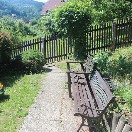 Apartamento Privat Zelezny Brod Exterior foto