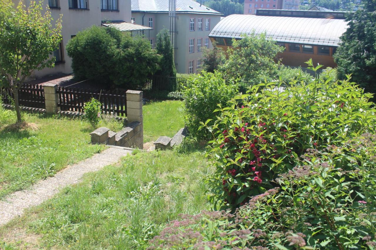Apartamento Privat Zelezny Brod Exterior foto